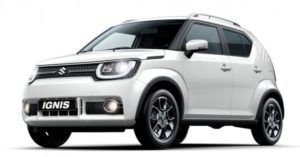 suzukiignis